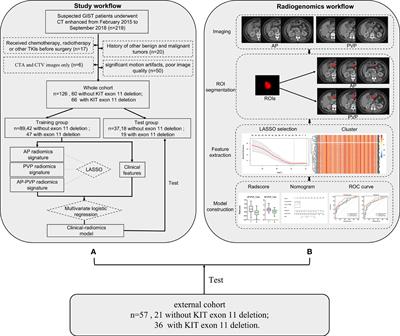 Clinical-radiomics-based treatment decision support for KIT Exon 11 deletion in gastrointestinal stromal tumors: a multi-institutional retrospective study